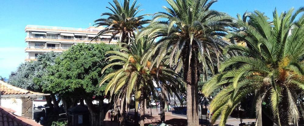 obiekt, teren hotelu