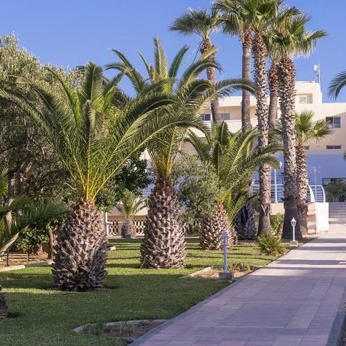 Novostar Dar Khayam