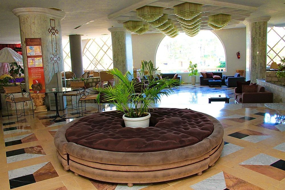 Delphin El Habib - recepcja / lobby