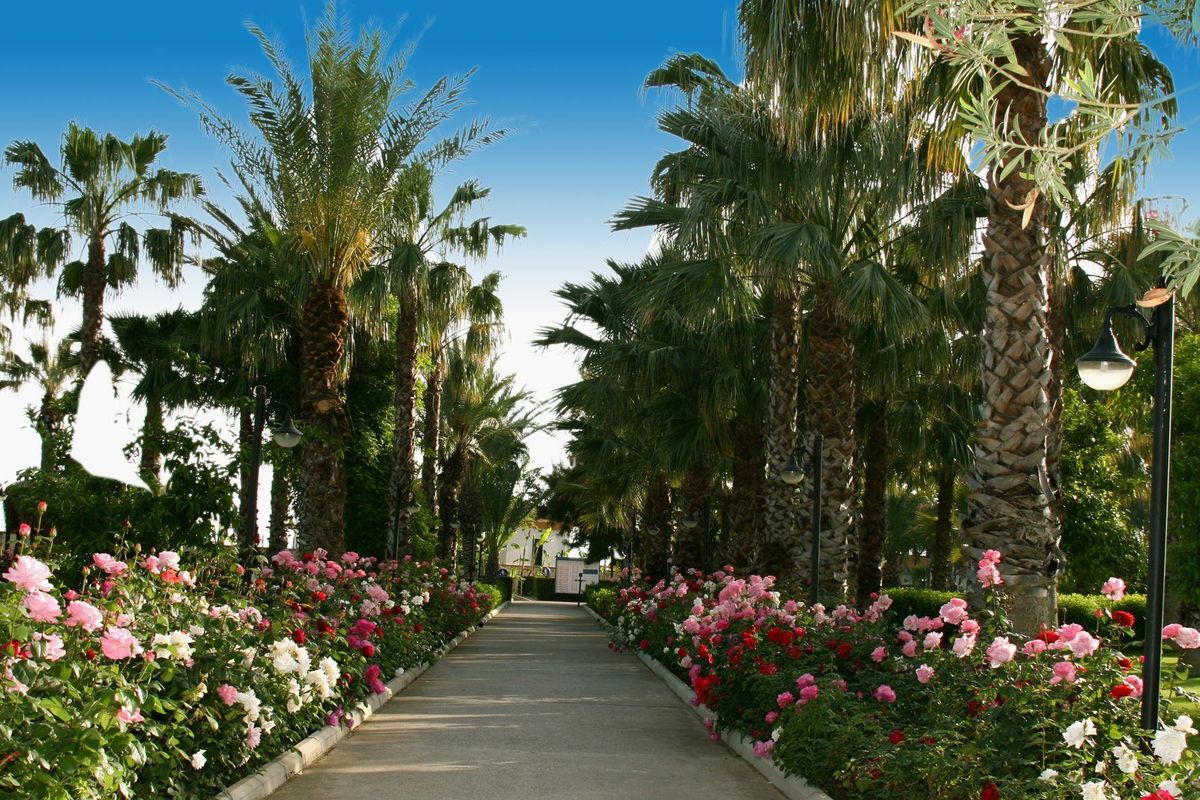 Adora Hotel & Resort (ex. Adora Golf) - teren hotelu