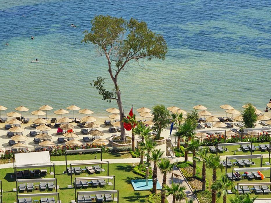 plaża