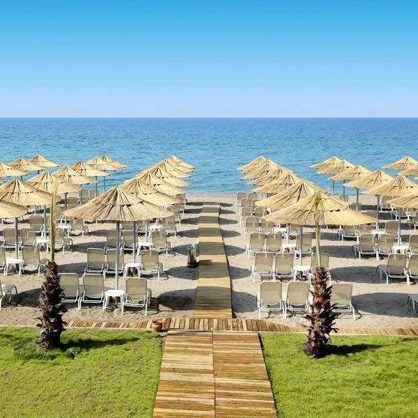 Asteria Bloom Side - zdjęcie 2