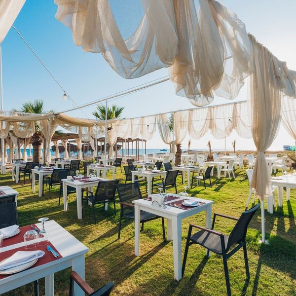 Asteria Bloom Side - zdjęcie 3