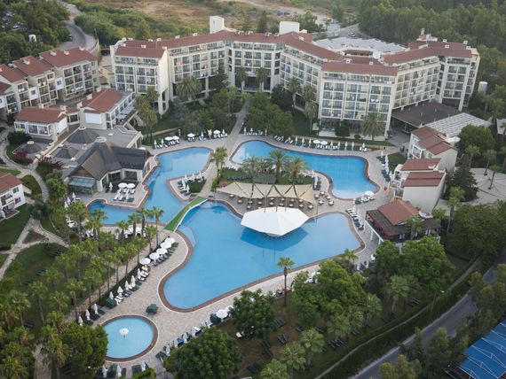 Arum Barut