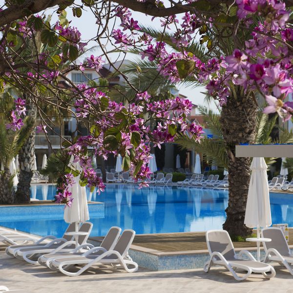 Barut B Suites