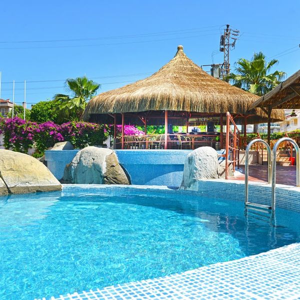 Begonville - zdjęcie 4