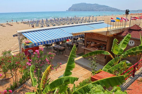Blue Wave Suite