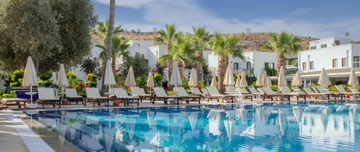 Bodrum Anadolu