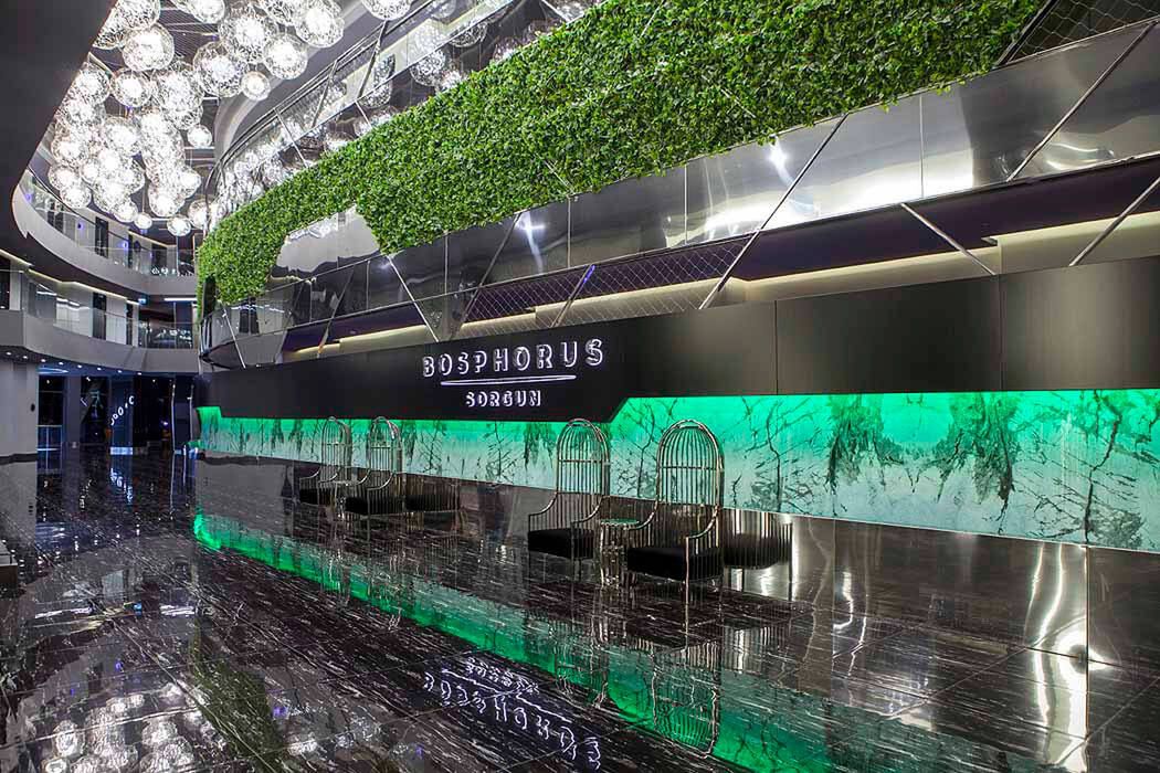 Bosphorus Sorgun - recepcja / lobby