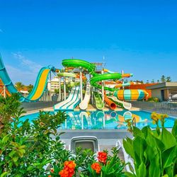 Calyptus Kirman Premium