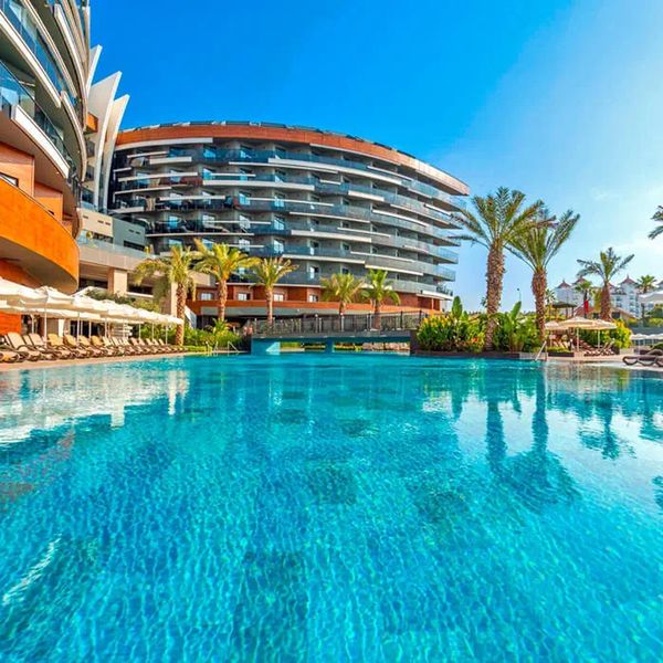 Calyptus Kirman Premium - zdjęcie 5