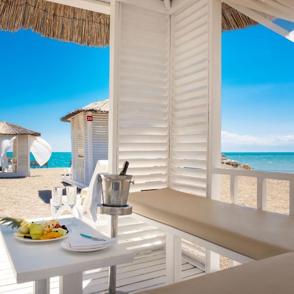 Selectum Noa - zdjęcie 5