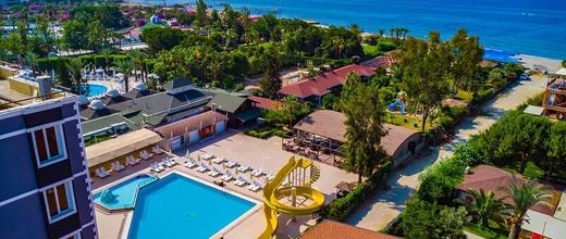 Clover Magic Park Beach