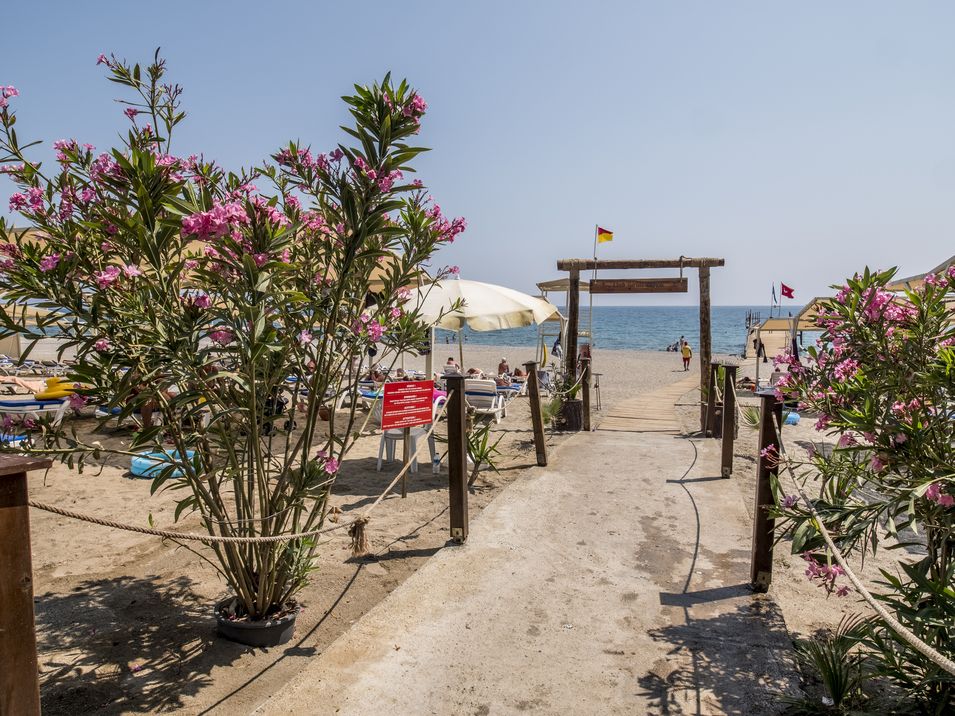plaża, wakacjepl