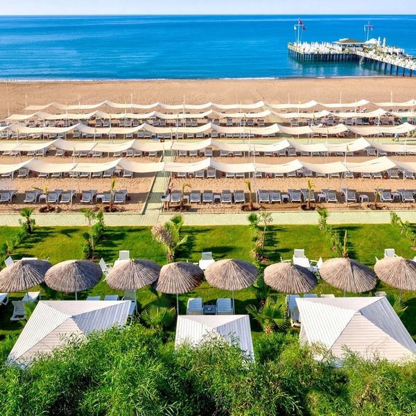 Delphin Imperial Lara - zdjęcie 5