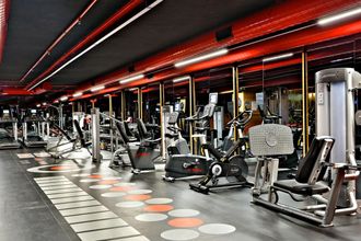 Dosso Dossi Down Town