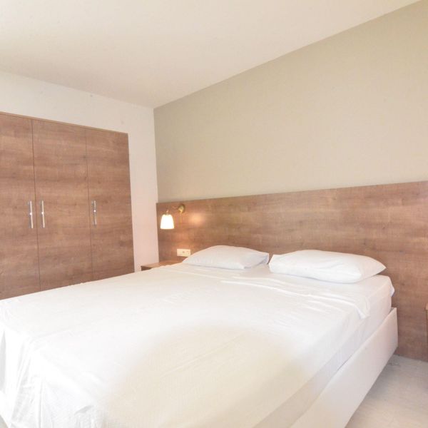 Elite Luxury Suite & Spa