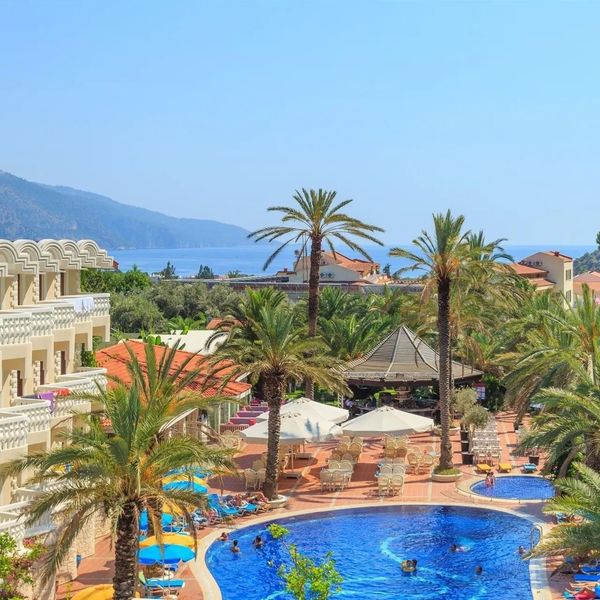 Flamingo (Oludeniz)