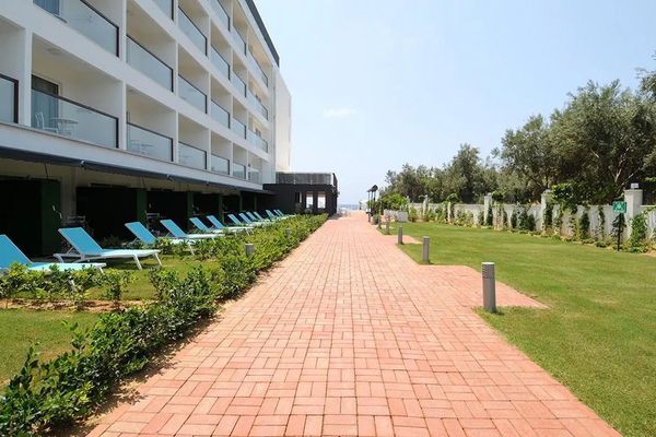 Gold Island (ex Sentido)