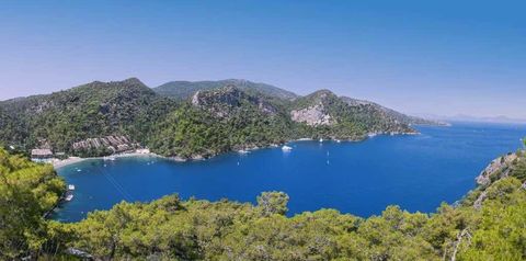 okolica