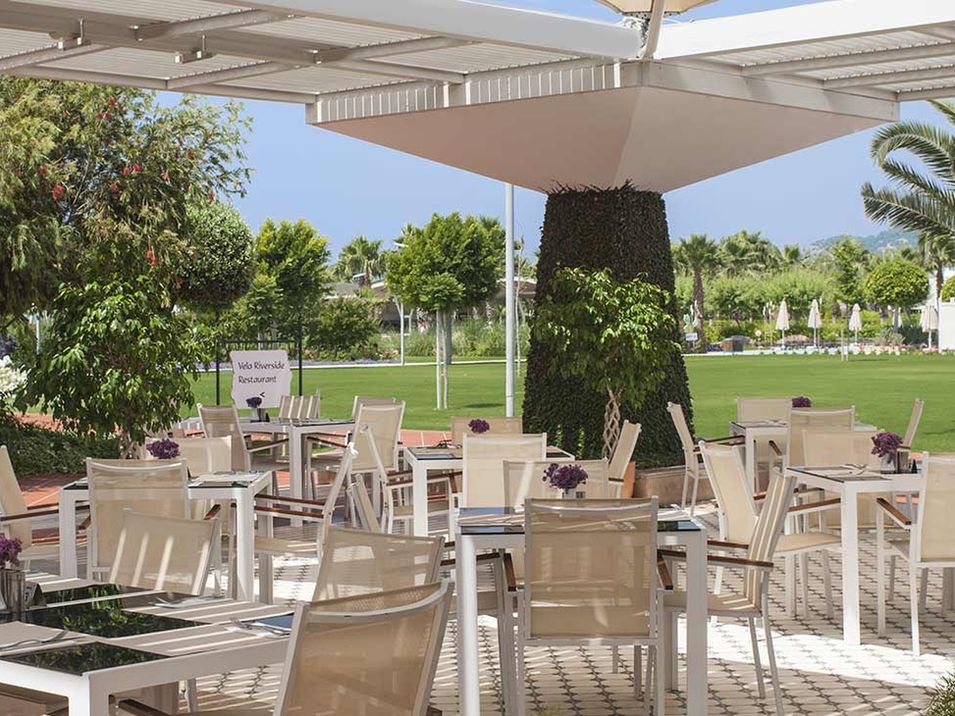 restauracja, kawiarnia