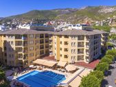 Kleopatra Royal Palm