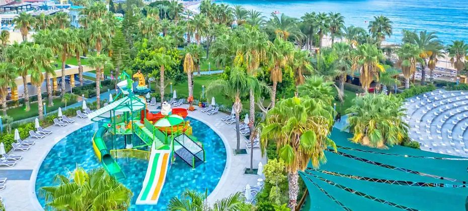 Leodikya Kirman Premium