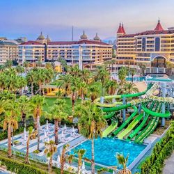 Leodikya Kirman Premium