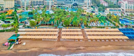 Leodikya Kirman Premium