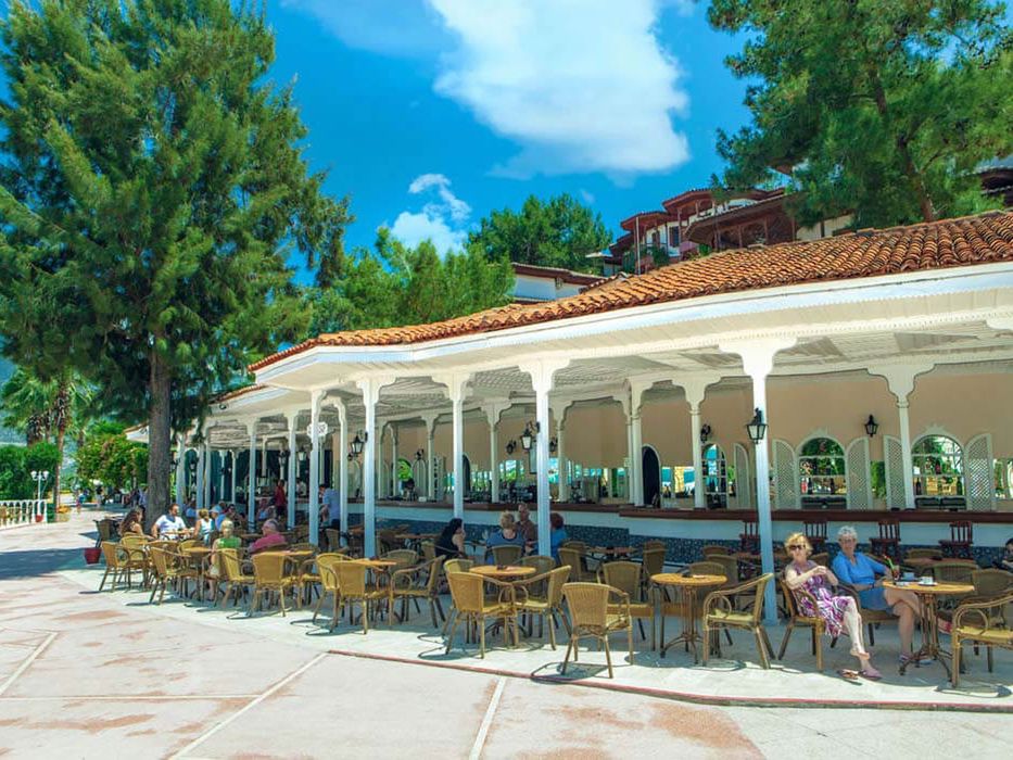 drink bar