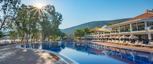 Long Beach Club Nature