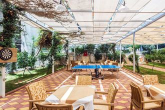 Lonicera City Kleopatra