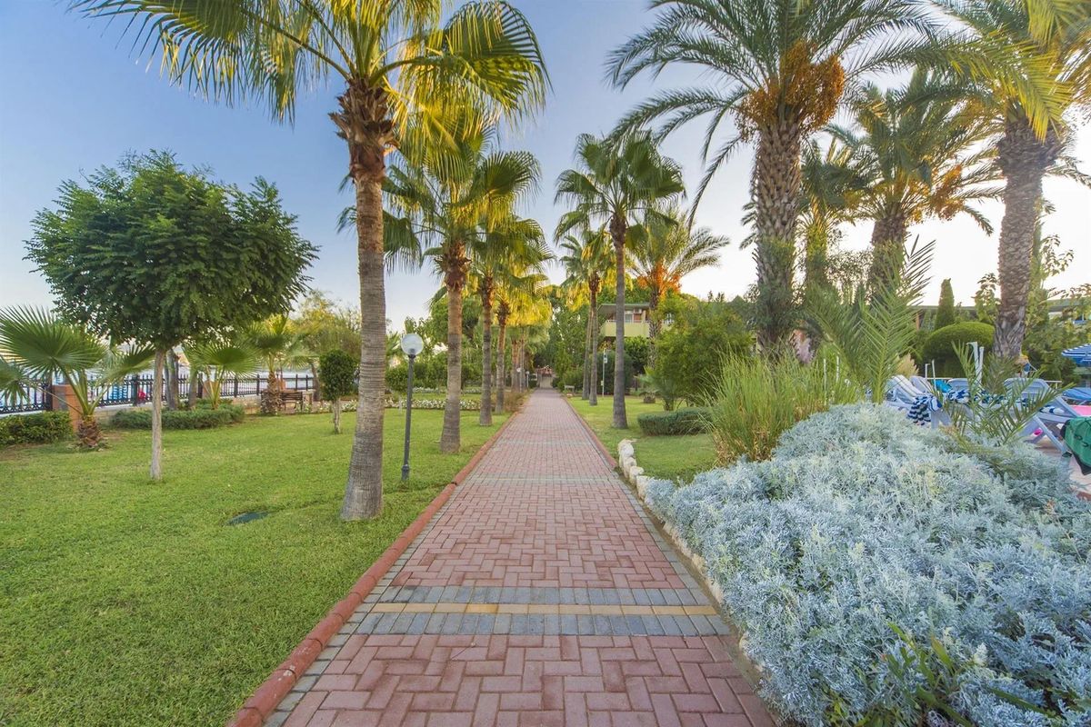 Lonicera World - teren hotelu