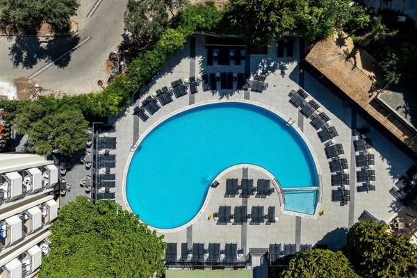 Marbel by Palm Wings