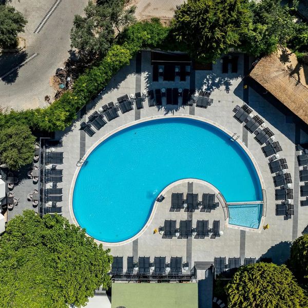 Marbel by Palm Wings - zdjęcie 3