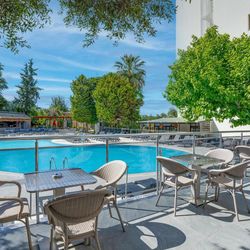 Marbel by Palm Wings