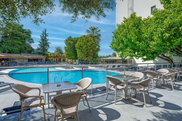 Marbel by Palm Wings