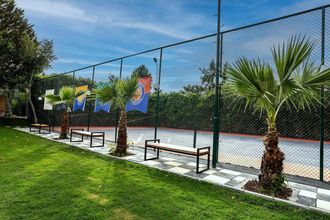 Marbel by Palm Wings