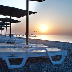 MG White Lilyum ex Novia