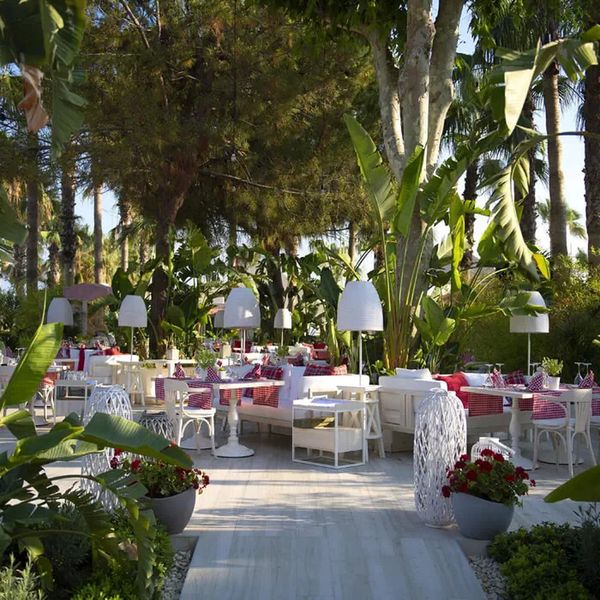 Miramare Queen - zdjęcie 5