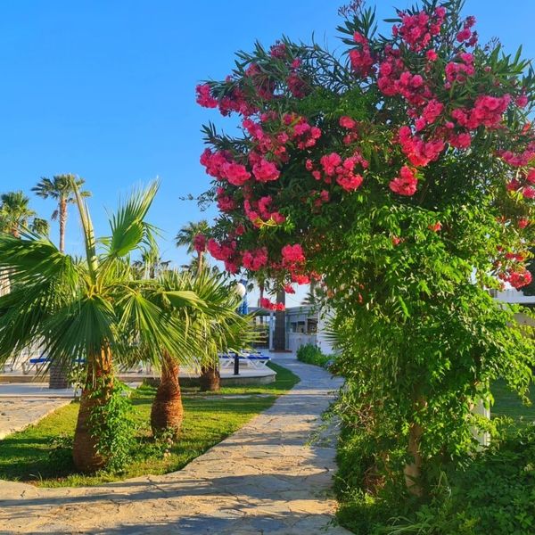Nagi Beach