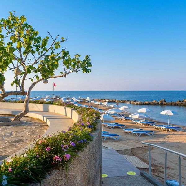 Numa Bay Exclusive (ex Sentido Numa Bay) - zdjęcie 2