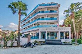 Palmea ex Club Palm