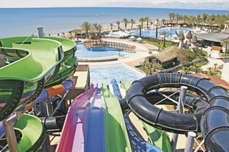 Papillon Belvil Club