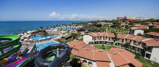 Papillon Belvil Club