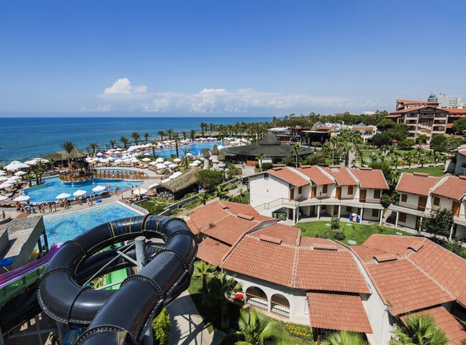 Papillon Belvil Club