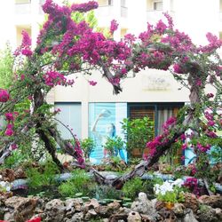 Queens Park Le Jardin Resort