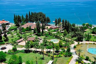 Rox Royal ex Grand Haber