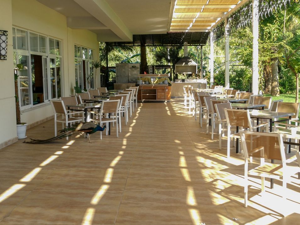 restauracja, wakacjepl