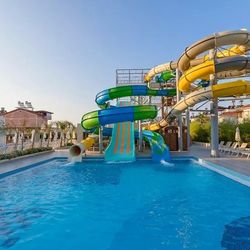 Seashell Vega ex Side Crown Sunshine